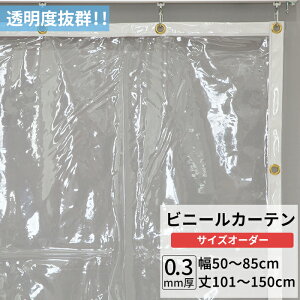 rj[J[e  0.3mm 50`85cm 101`150cm rj[ J[e rj[ rj[V[g I[_[ Ԏd؂ ȃGl ߓd h ho h   C x_ TCY