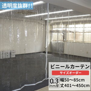 rj[J[e  0.3mm 50`85cm 401`450cm rj[ J[e rj[ rj[V[g I[_[ Ԏd؂ ȃGl ߓd h ho h   C x_ TCY