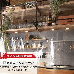 [y15OFFN[|] rj[J[e  h 0.3mm 110`150cm 180cm 򖗑΍ Ԏd؂ ߓd ho J[e 򖗊΍phrj[V[g TCYI[_[ yFT11Az J