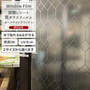 [|Cg10{×27810܂] KXtB  ډBV[g \Ă͂ UVJbg OK  yWFSG15zI[hCObV C-F-1