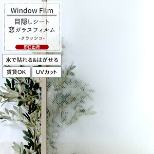 KXtB  ډBV[g \Ă͂ UVJbg OK  a_ yWFSG17zNbVR C-F-1