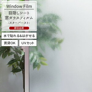 [X[p[Z[20%OFF] KXtB  ډBV[g \Ă͂ UVJbg OK  g ԕ a HI a_ yWFSG26zX^[o[Xg CSZ