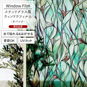 [|Cg10{×27810܂] EBhEtB KXtB XehOX \Ă͂ ډBV[g UVJbg OK yWFSP25zToi C-F-1