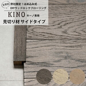 KINOp VR،؂ TCh^Cv 98cm 1{ C-F-3