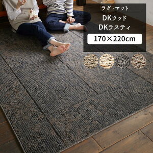 O}bg DKEbh DKXeB 170×220cm [[J[in JQ