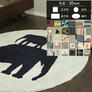 [}\N[|zz] I[_[ANO }C 30mm [160 130][[J[i Es] JQ