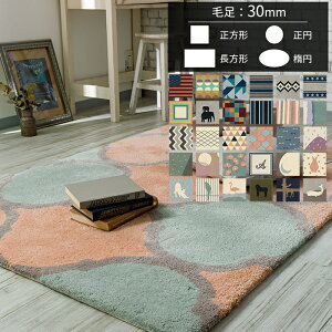 �I�[�_�[�A�N�������O �}�C�� 30mm [��340 ��210][���[�J�[�����i ������E�����s��] JQ