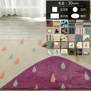 �I�[�_�[�A�N�������O �}�C�� 30mm [��380 ��150][���[�J�[�����i ������E�����s��] JQ