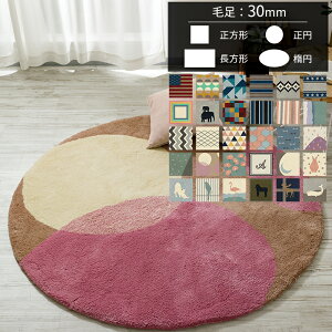 �I�[�_�[�A�N�������O �}�C�� 30mm [��340 ��250][���[�J�[�����i ������E�����s��] JQ