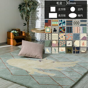 �I�[�_�[�A�N�������O �}�C�� 30mm [��180 ��170][���[�J�[�����i ������E�����s��] JQ