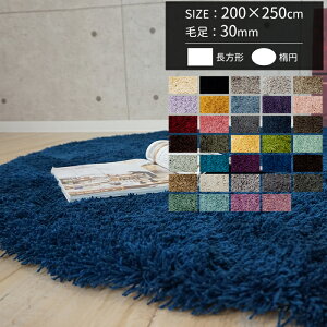 [ő10OFFN[|] O I[_[Ch 200×250cm ё30mm ` ȉ~ 3 O~  ~p ėp zbgJ[ybgΉ I[_[Ch I[_[O  { n Vv 