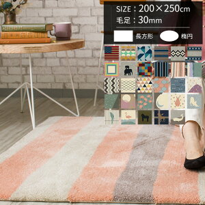 [ő10OFFN[|] O I[_[Ch 200×250cm ё30mm ` ȉ~ 3 O~  ~p ėp zbgJ[ybgΉ I[_[O  { C {[_[  񂩂 