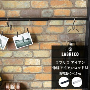 LABRICO uR ACA LkACAbhM [Ԃ肱   I  DIY O GNXeA x_ K[fjO ς nK[ ] CSZ
