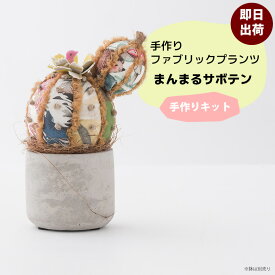 手作りキット まんまるサボテン 手芸キット サボテン 鉢植え 可愛い ファブリックプランツ 友安製作所のカーテン布地でつくる まんまるサボテン 創作園芸課