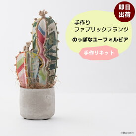 手作りキット ユーフォルビアン 手芸キット サボテン 鉢植え 可愛い ファブリックプランツ 友安製作所のカーテン布地でつくる のっぽなユーフォルビアン 創作園芸課