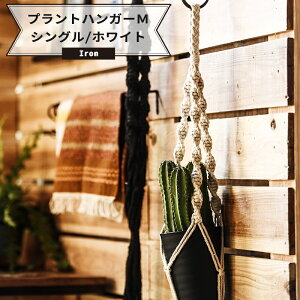 ハンギング 観葉植物 鉢の人気商品 通販 価格比較 価格 Com