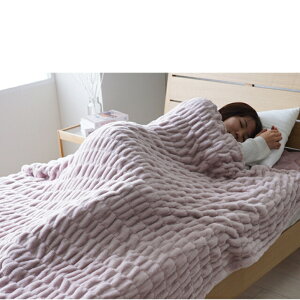 ѕzyQzѕz J[ x[W sN O[ AC{[ tl GȂ߂炩  􂦂  VO 140×200cm wVN ѕzx