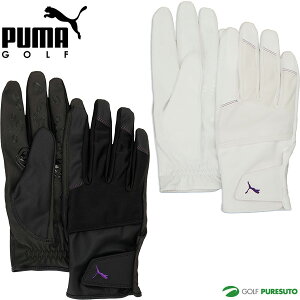v[} St StO[u VhE EB^[ O[u p ~p jZbNX 042060 PUMA GOLF 2025NH~f h JC|Pbgt  uh