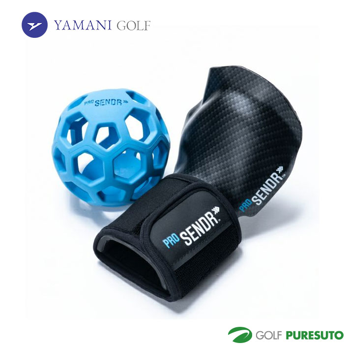 ヤマニ ゴルフ練習器 ProSENDR プロセンダー-