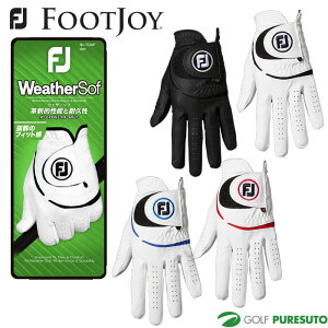 tbgWC St EFU[\t 23 Ўpi葕pjFGWF23 2023Nf FOOTJOY GOLF St StObY StO[u Ep v Y