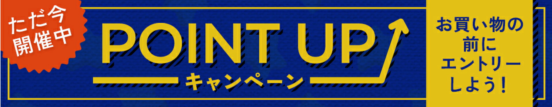 ただ今開催中のPOINT UPキャンペーン