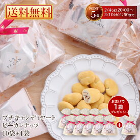 バレンタイン スイーツ プレゼント プチギフト【WEB限定 送料無料】10袋セット+1袋おまけ プチギフトキャンディコートピーカンナッツチョコレート(48g)/お菓子 贈り物 個包装 ナッツチョコレート ありがとう お世話になりました