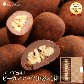 ホワイトデー スイーツ プレゼント 食品 プチギフト チョコ お菓子 詰め合わせ お礼 贈り物 高級 洋菓子 手土産 個包装 セット ありがとう お世話になりました/ピーカンナッツ使用!第25回全国菓子大博覧会栄誉賞受賞/ココアがけピーカンナッツチョコ 10袋（160g）/箱