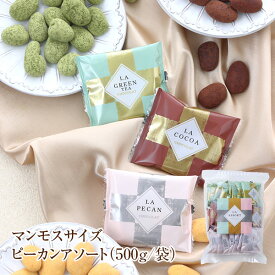 お中元 スイーツ プレゼント 食品 プチギフト チョコ お菓子 詰め合わせ お礼 洋菓子 手土産 個包装 セット ナッツチョコレート ナッツ ピーカンナッツ ありがとう お世話になりました マンモスサイズピーカンアソート 500g/袋