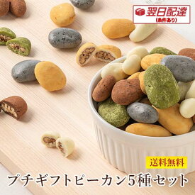 お歳暮 クリスマス 翌日発送(条件あり) スイーツ プレゼント 食品 プチギフト送料無料/ WEB限定2パターンから選ぶチョコレートプチギフト 5種セット 詰め合わせ 贈り物 洋菓子 手土産 個包装 ピーカンナッツ お配り
