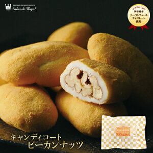 ピーカンナッツ使用チョコレート!リピーター続出!!【キャンディコートピーカンナッツチョコレート(140g)】ぴーかんなっつ│サロンドロワイヤル