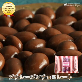 母の日 スイーツ プレゼント 食品 プチギフト チョコ お菓子 詰め合わせ お礼 洋菓子 手土産 個包装 セット ありがとう お世話になりました/プチレーズンチョコレート(220g/袋)