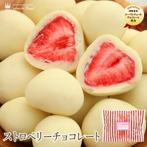 ハロウィン スイーツ プレゼント 食品 プチギフト チョコ お菓子 詰め合わせ お礼 洋菓子 手土産 個包装 セット ありがとう お世話になりました/ミルキーなチョコと甘酸っぱい苺のコントラ