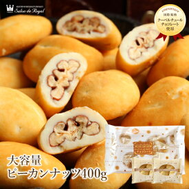 父の日 大容量キャンディコートピーカンナッツチョコレート(400g)【WEB限定商品】ナッツチョコレートランキング1位スイーツ プレゼント 食品 チョコ お菓子 詰め合わせ お礼 贈り物 洋菓子 手土産 個包装 セット ありがとう お世話になりました