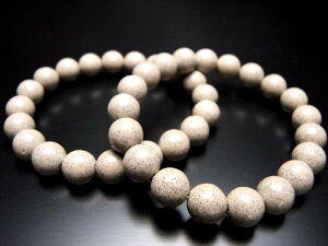 y523:59܂Ń|Cg2{zi`^Cv k΁yzNgCgzuXbg 10mm×20O ɏVR 򐬕܂ރWEz SglCXg[yAXg[zyp