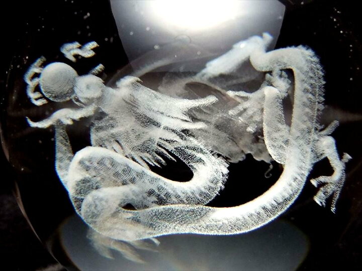 楽天市場】○【幻想的に浮かび上がった五本爪の龍（龍神） クリスタル 