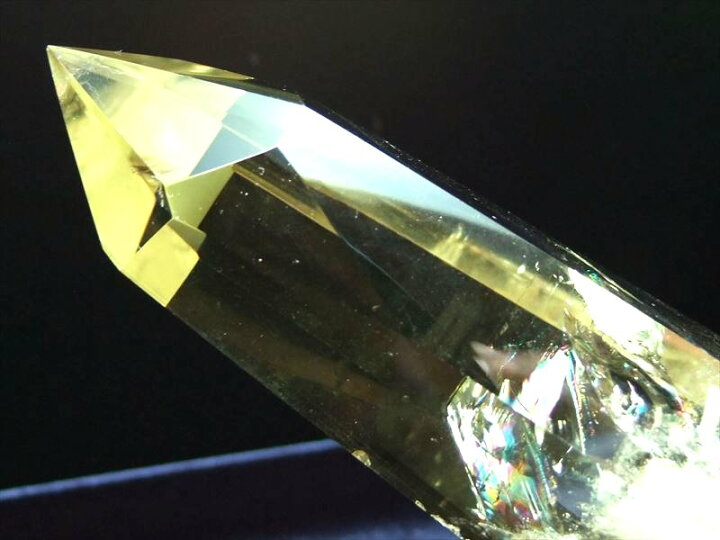 楽天市場】○びっしりエンジェルラダー・虹入り 5A【レインボー 
