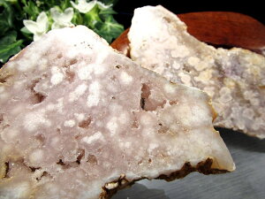 Jy烁mE v[g΁z1 d90g-120g 炭 `F[ubTAQ[g CeA②蕨  TNTNVR΁y}_KXJYz p[Xg[ V