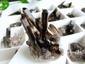 ●Sサイズ 1個売り【アーカンソー産黒水晶ミニクラスター（カード付き）】重さ約5g-20g 箱サイズ約4.5cm×4.5cm 限定 艶々極上モリオン【アメリカ・アーカンソー産】2025年10月再撮影【cl-p】