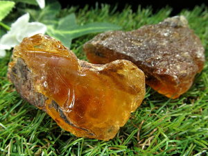 iyu[Ao[ ΁zd60g-80g 1  ؗR̐ ubNCgŕϐF _̃u[ yX}gYz p[Xg[ VR