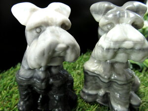 ▭ȉ炵\yWXp[ ViEU[  uz 75mm×45mm 1 hbO`[t ΂̖͗l𐶂ѕ p[Xg[ VR