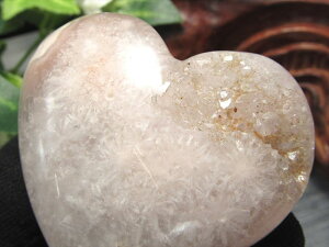 Jy烁mE n[g^^uző啝46mm d43g 炭 `F[ubTAQ[g CeA②蕨  TNTNVR _y}_KXJYz