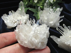 y123:59܂Ń|Cg5{z5AylȎY NX^[΁z1 d40g-60g  lCLLj󌋏   ܂ŃLLylȎYz p[Xg[ VR