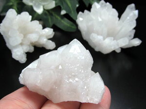 y123:59܂Ń|Cg5{zy1z 70g-90gy_ȎY NX^[ ΁zq}R̓[ ͋  oy_ȎYz p[Xg[ VR