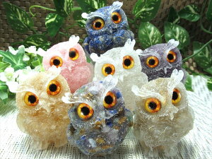 NEWVRΒǉ Iׂ7ށyVR΃TU tNE^ ISiCgzd90g-100g 1 VR [YNH[c AWXg S[h` MIXXg[ Vg sXY 