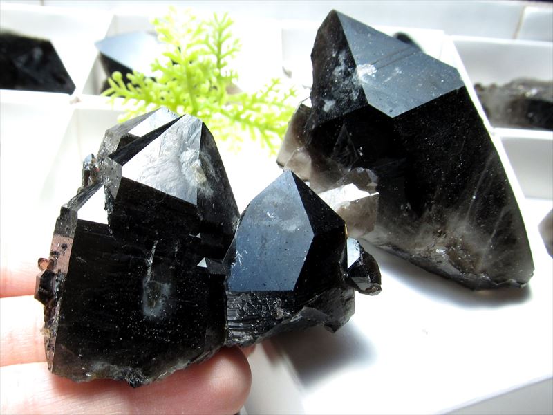 最強の厄払い 超迫力11センチ‼ 黒水晶柱 六角水晶　ポイント  モリオン原石