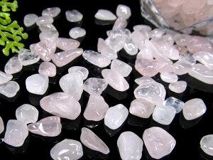 y123:59܂Ń|Cg5{zIׂ3̓VR 򉻗p 1kg /AWXg/[YNH[c p p[Xg[  q[O uXbg r[Y NX^ NH[c