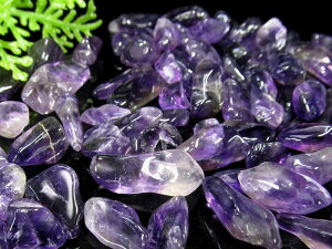 Iׂ3̓VR 򉻗p 1kg /AWXg/[YNH[c p p[Xg[  q[O uXbg r[Y NX^ NH[cyuWYzysa-pzysp