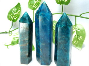 J߂΁yu[Ap^Cg Zp |Cguz1 d90g-110g s̉ [QF琅FΐFMIXJ[ CeA ӊD΁yuWYz p[Xg[ VR