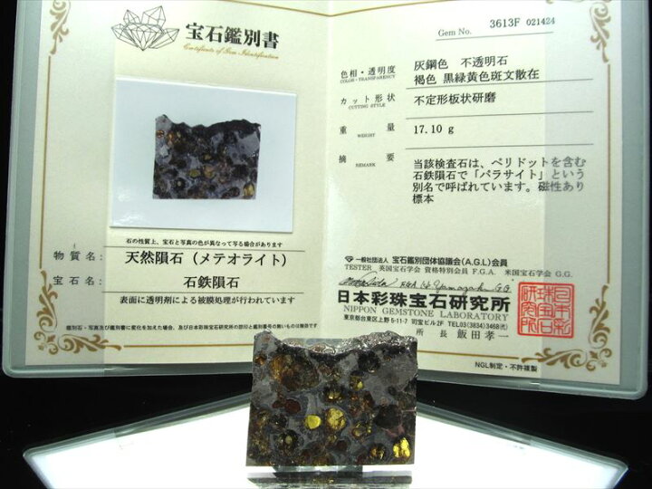 楽天市場】○1点限定入荷【セリコ隕石 パラサイト隕石 スライス 