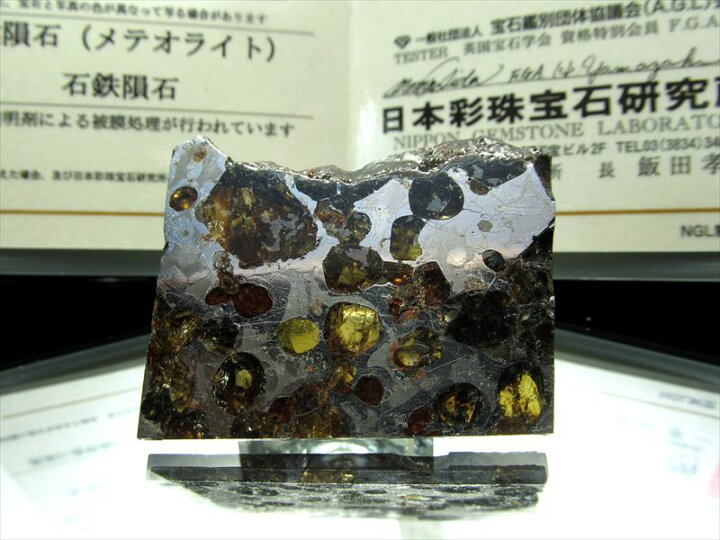 楽天市場】○1点限定入荷【セリコ隕石 パラサイト隕石 スライス 